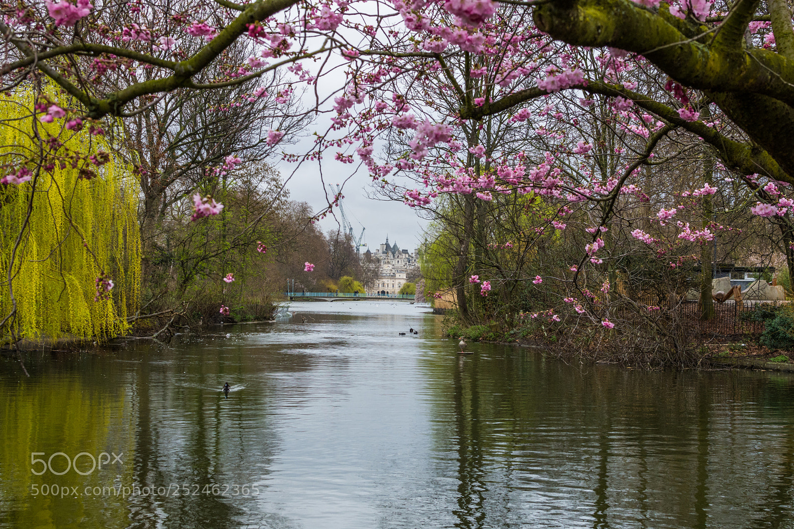 Nikon D7200 sample photo. One of the beautiful photography
