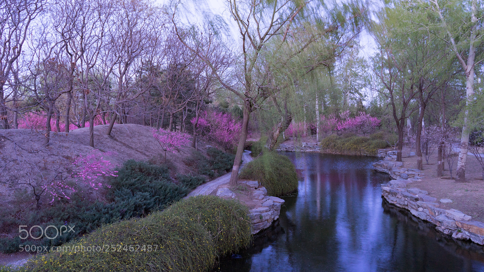 Sony a7 sample photo. Spring photography