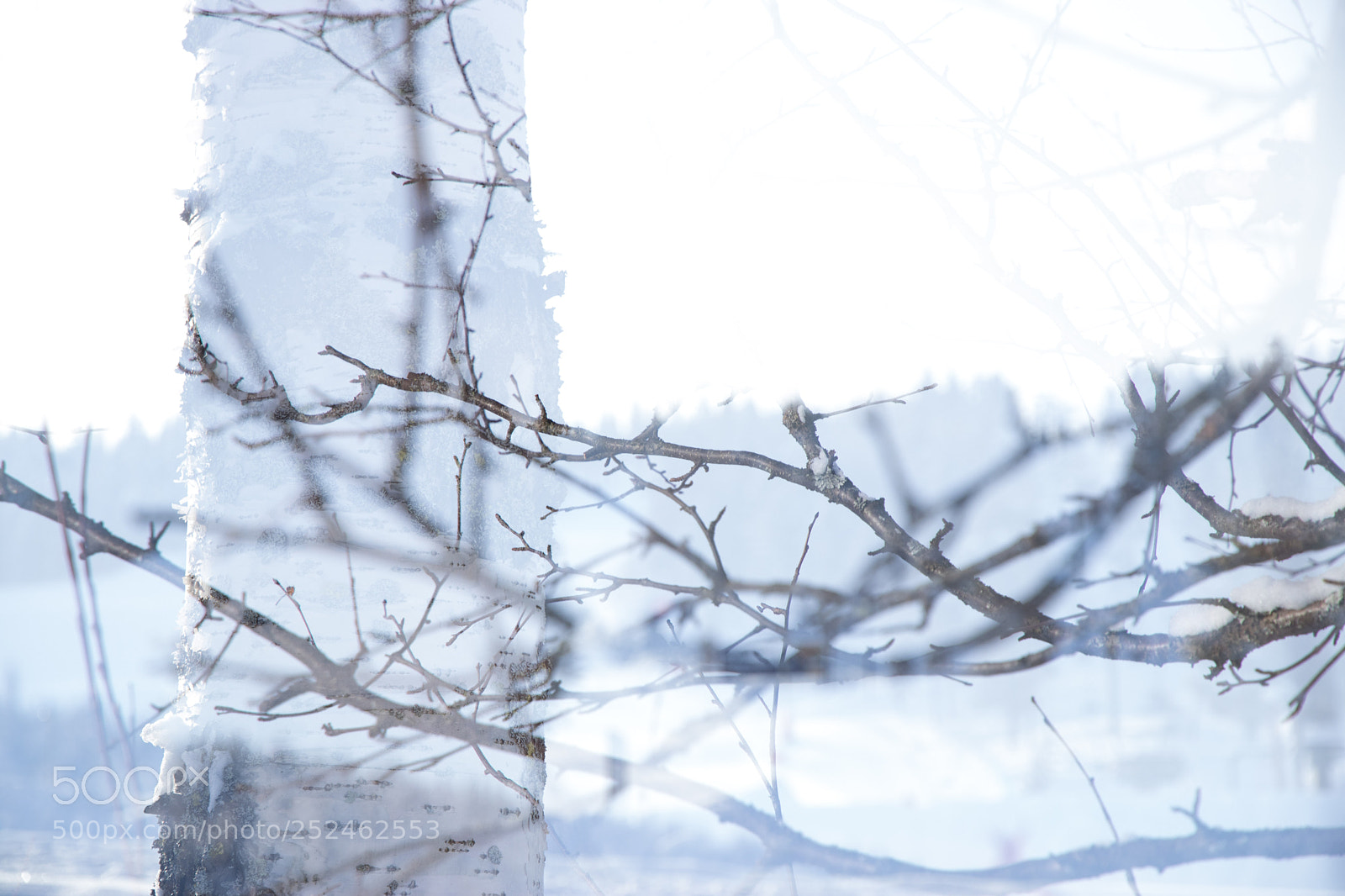 Canon EOS 80D sample photo. Double exposure photography
