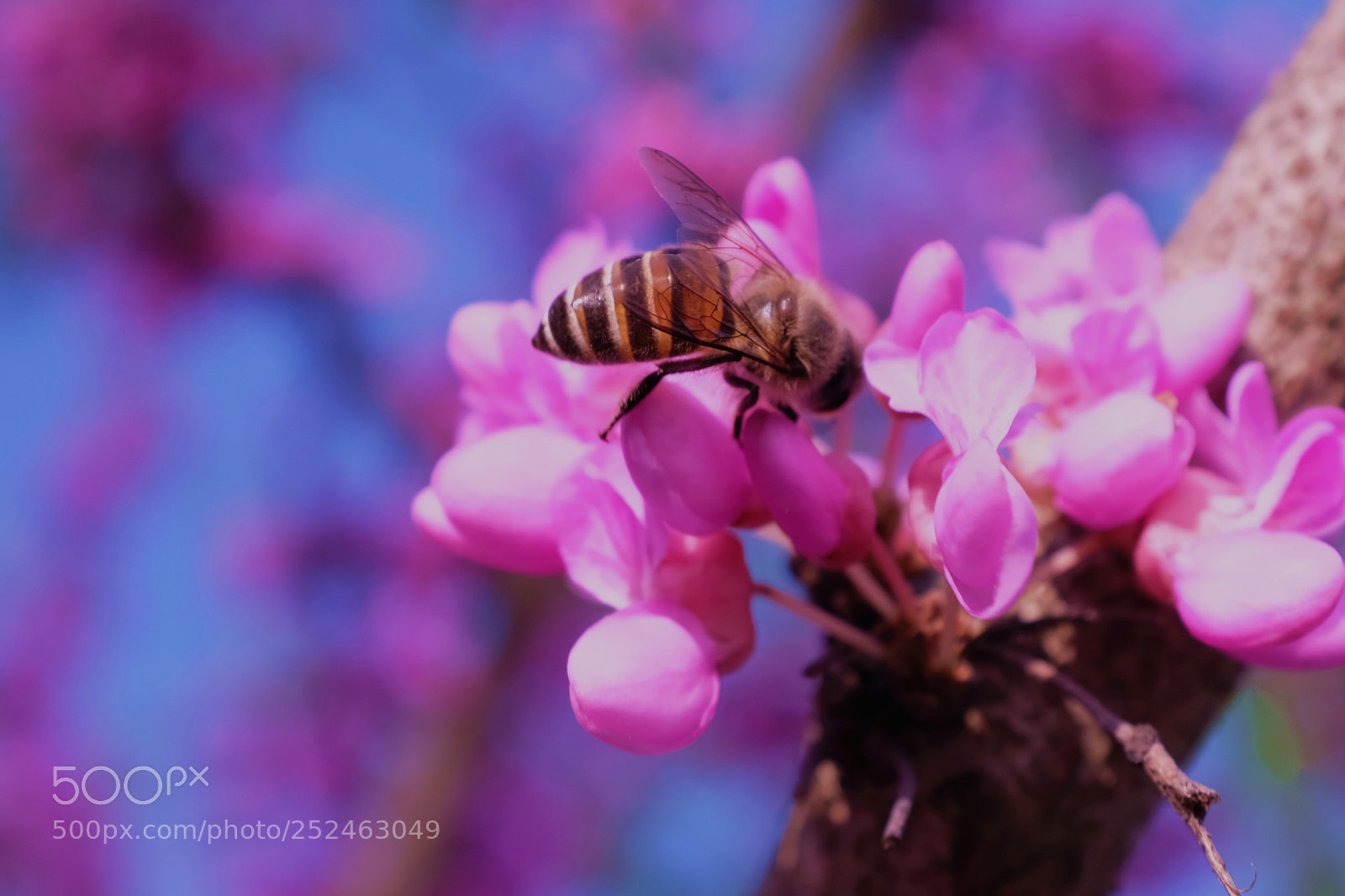 Fujifilm X100F sample photo. 微信图片 副本 photography