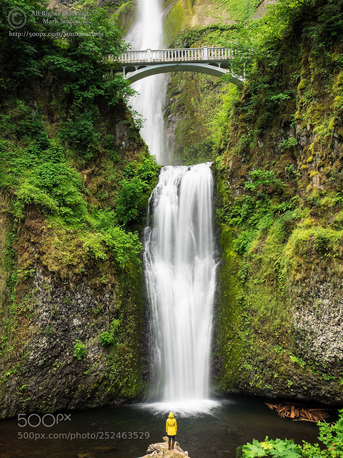 Olympus OM-D E-M1 sample photo. Multnomah awe photography