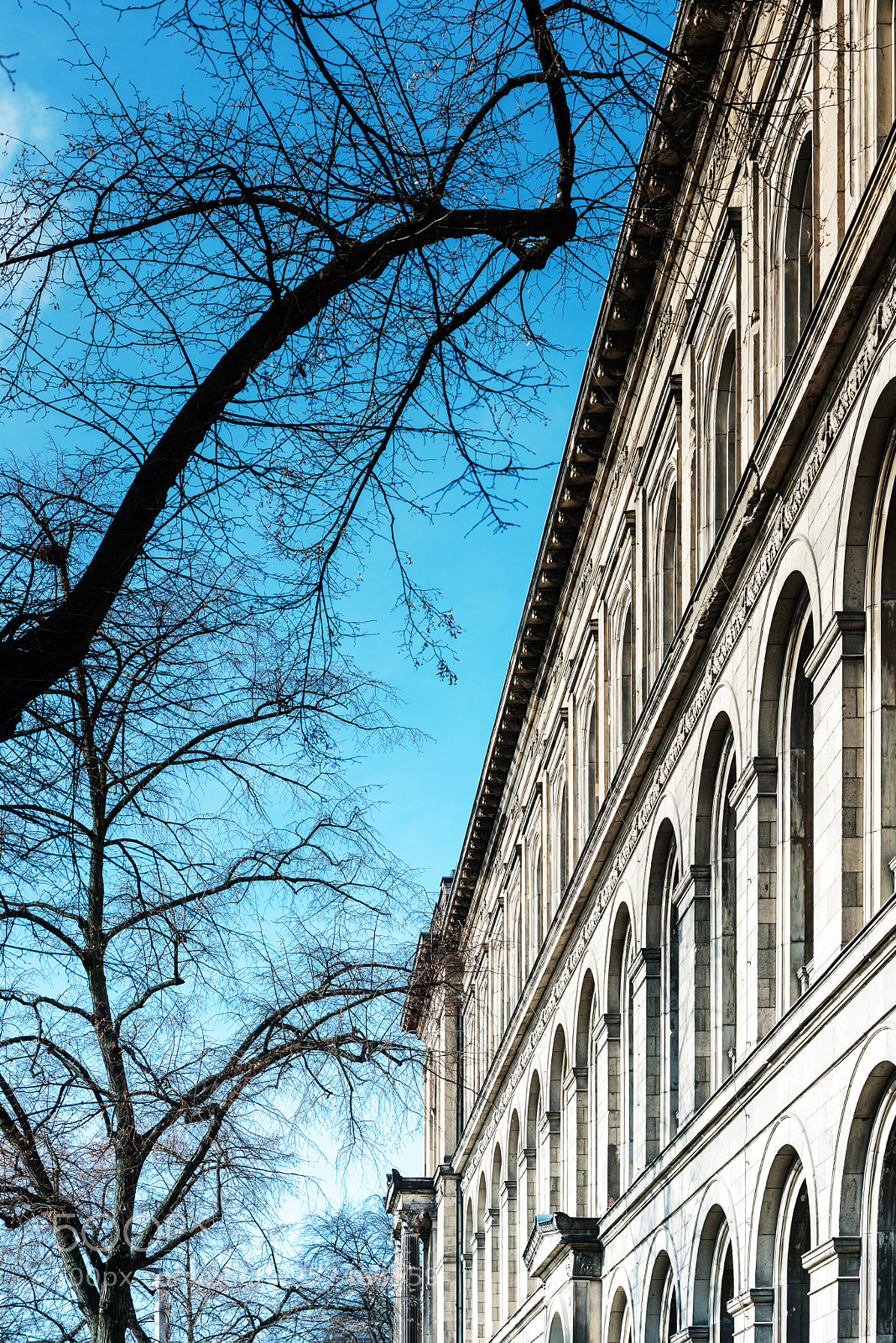 Nikon D800 sample photo. Beautiful street view of photography