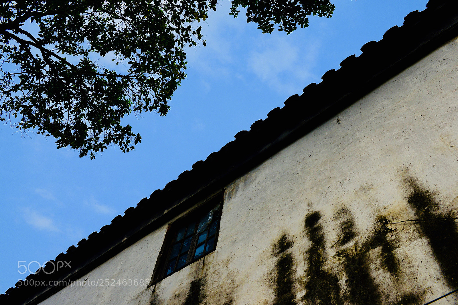 Nikon D610 sample photo. 对称 photography