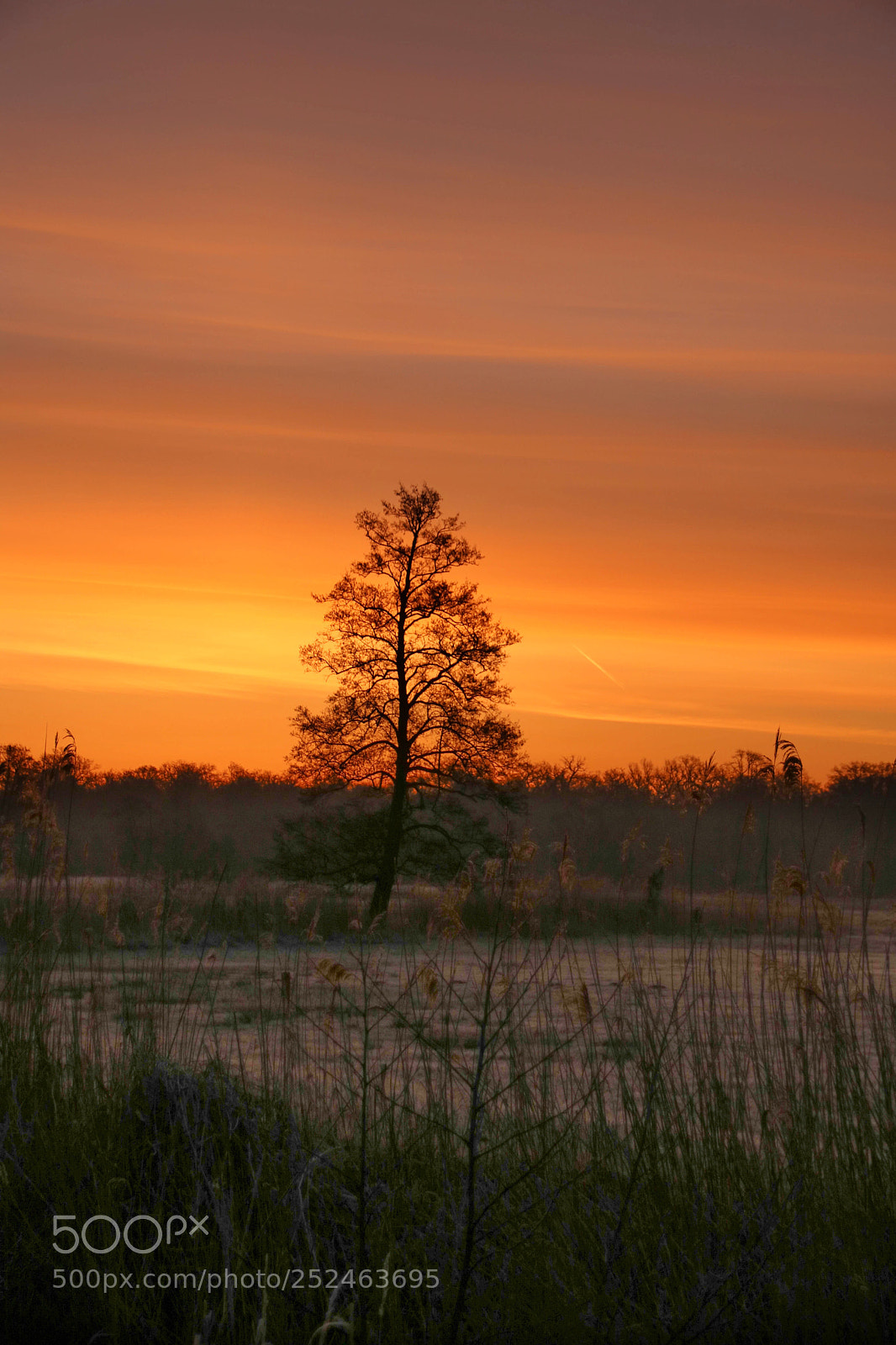 Canon EOS 750D (EOS Rebel T6i / EOS Kiss X8i) sample photo. Burning sky  photography