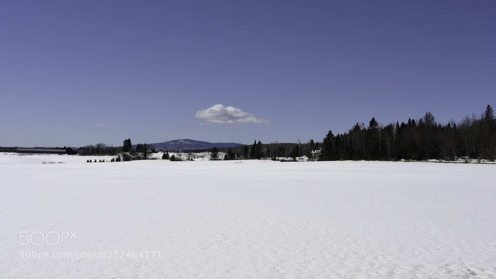 Nikon D810 sample photo. Un nuage photography