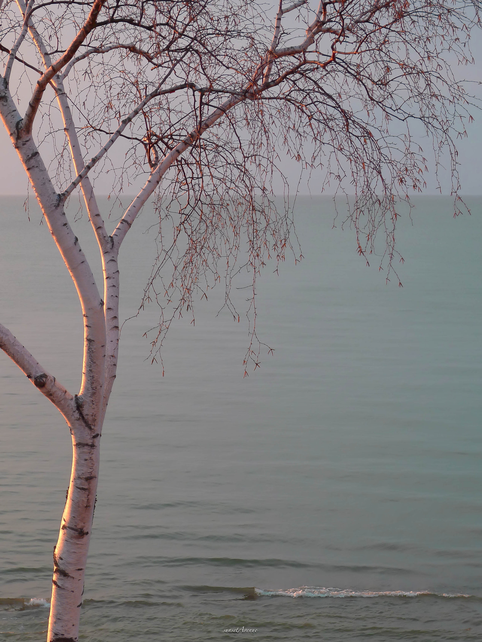 Leica D-LUX 5 sample photo. Lake michigan april 2,7pm photography