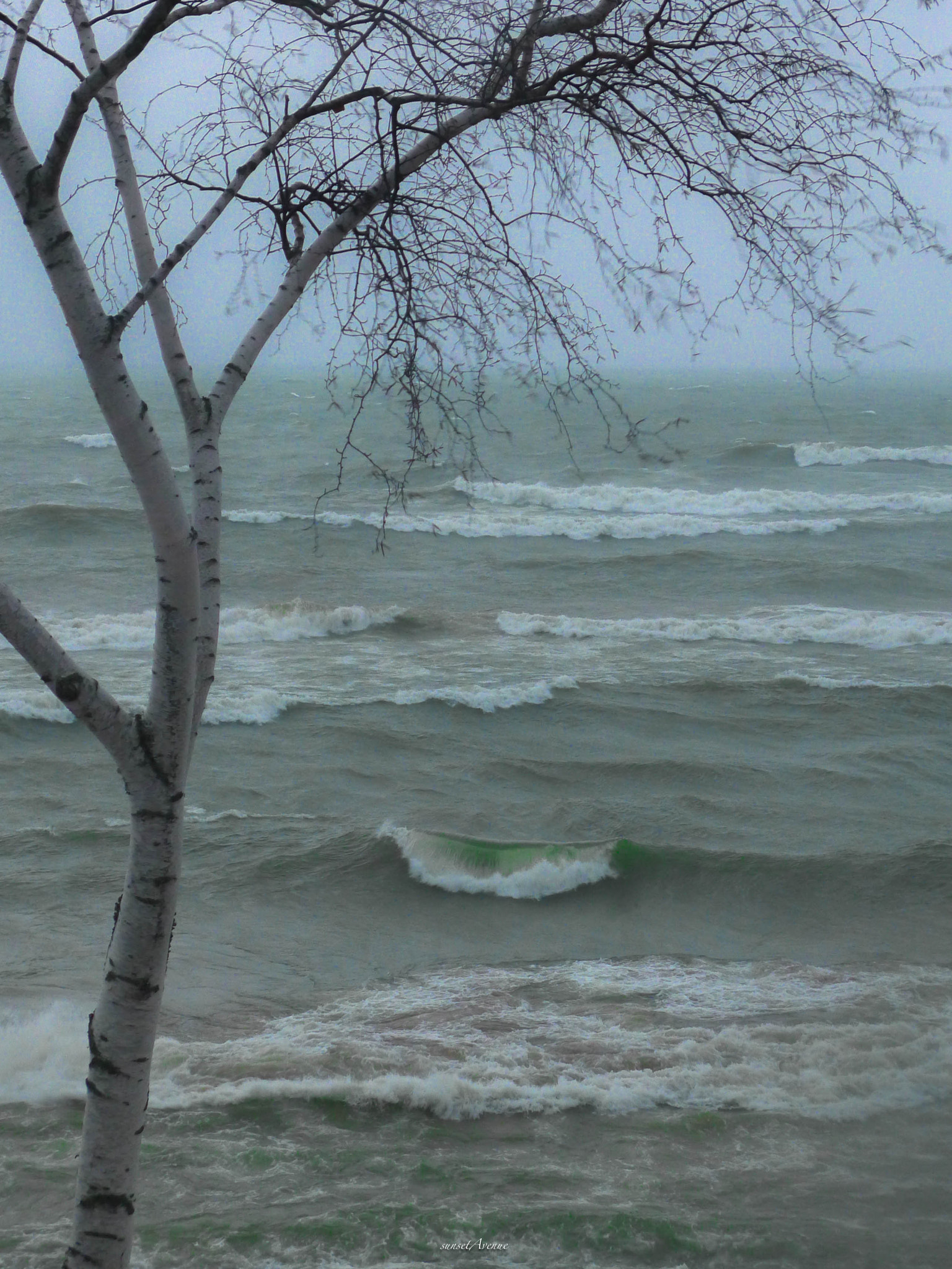 Leica D-LUX 5 sample photo. Lake michigan april 3,7pm photography