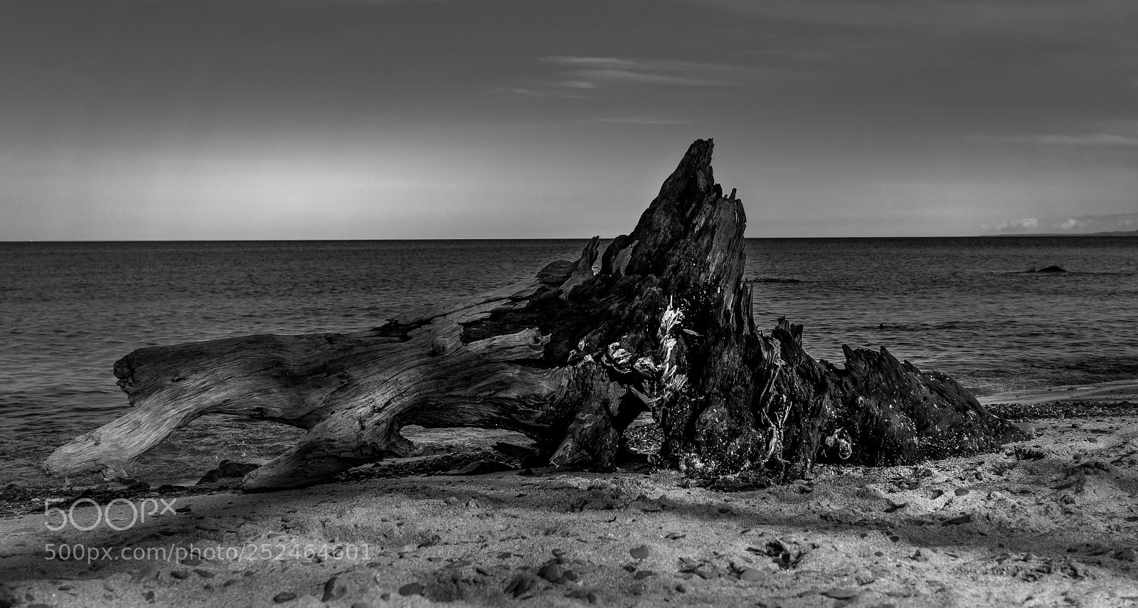 Nikon D7100 sample photo. I was once a photography