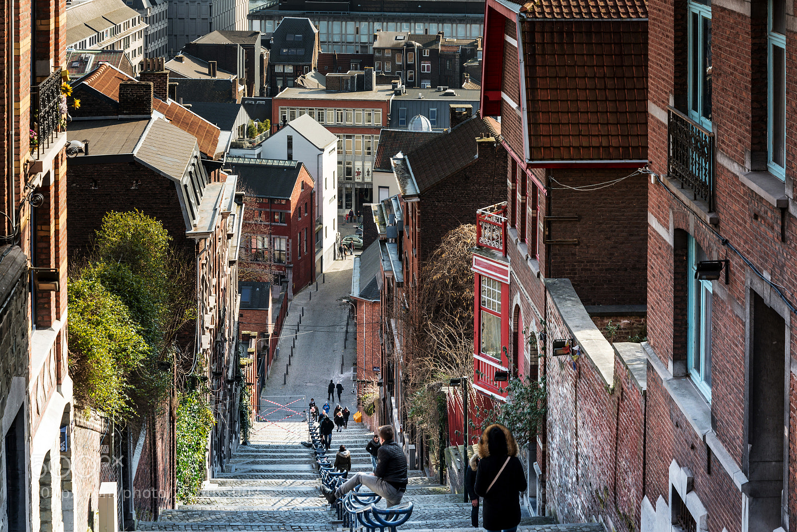 Nikon D800 sample photo. Liege, belgium - february photography