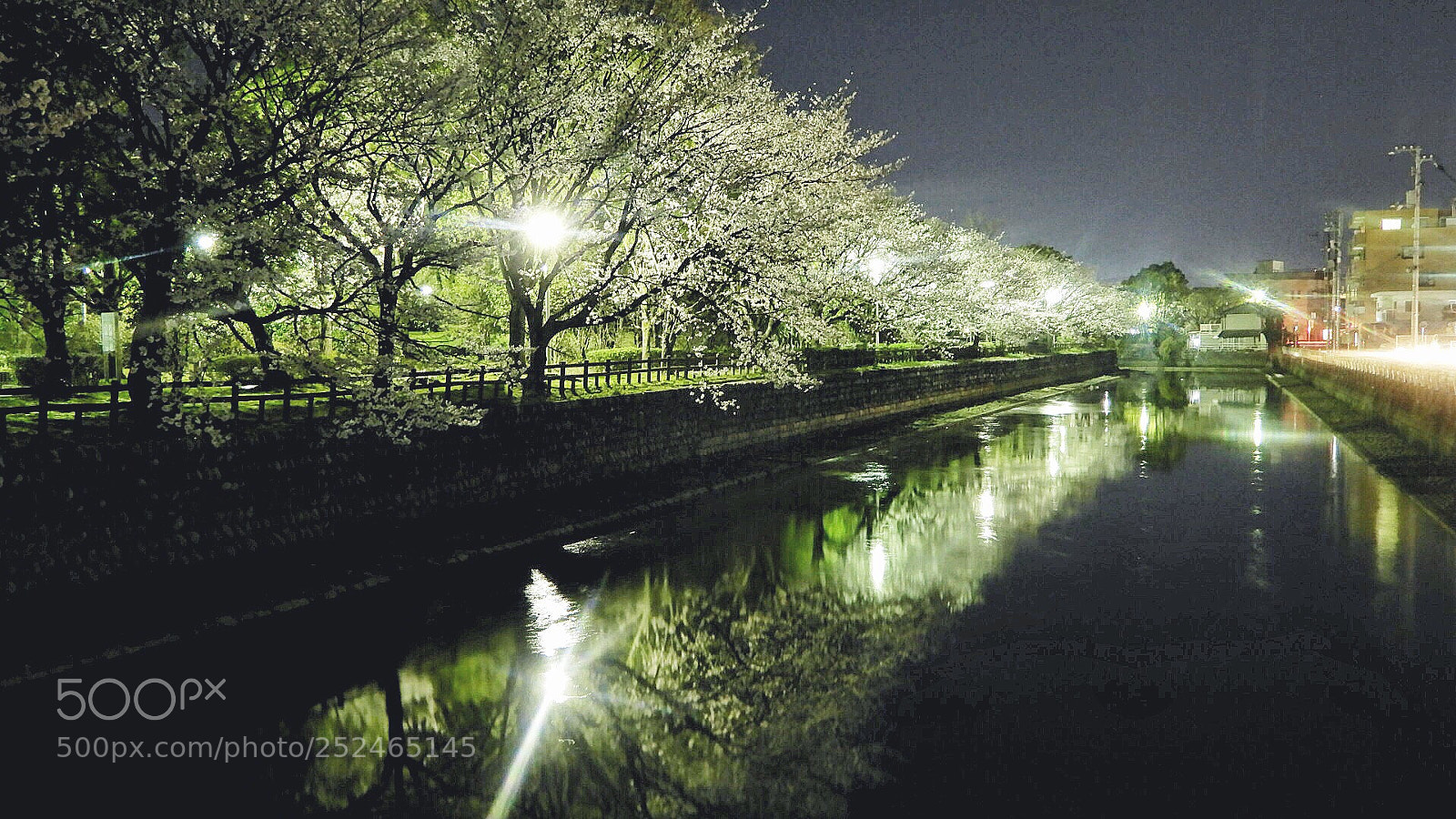 Nikon Coolpix A900 sample photo. Cherry at night photography