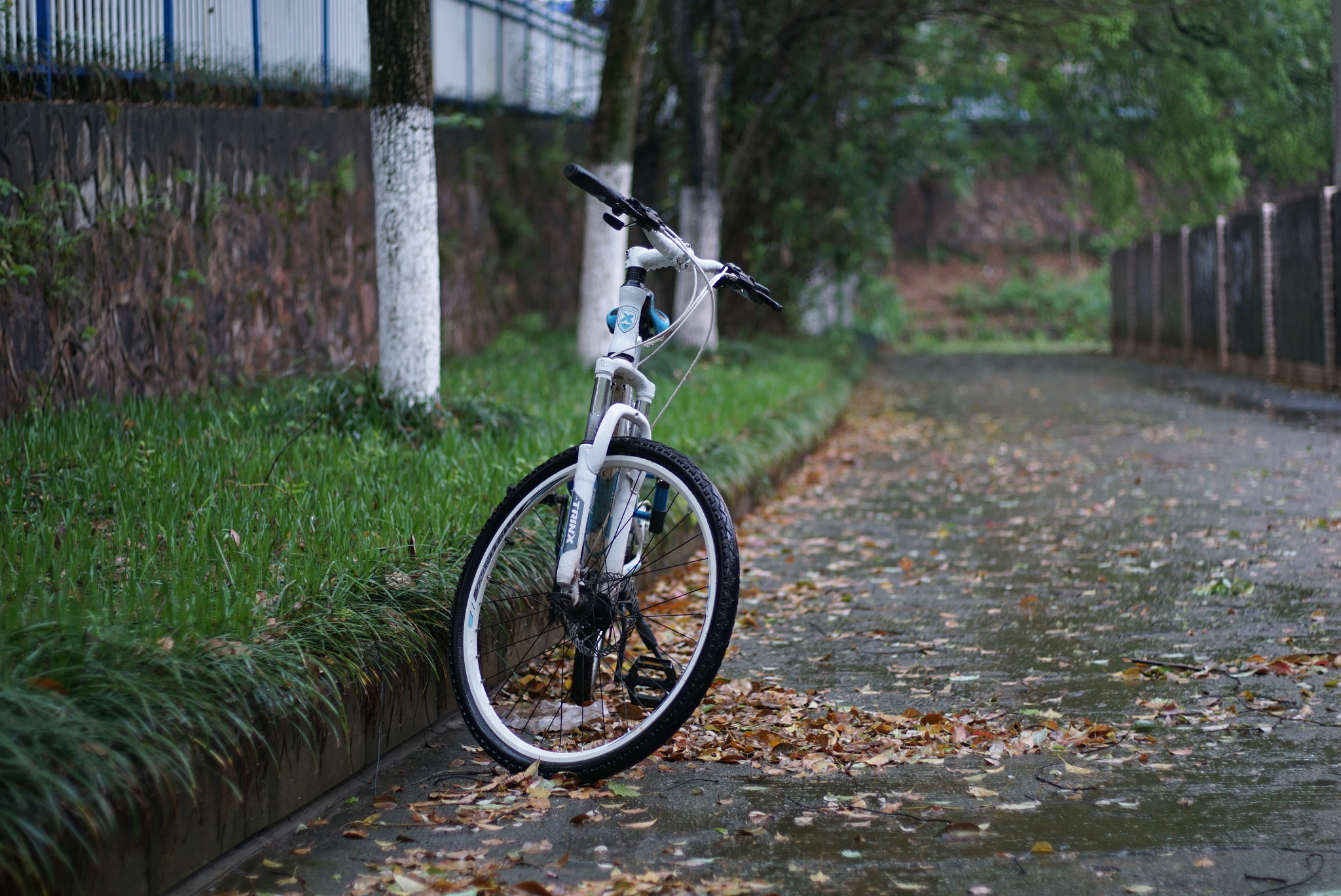 Sony a6000 + Sony DT 50mm F1.8 SAM sample photo. Bike photography