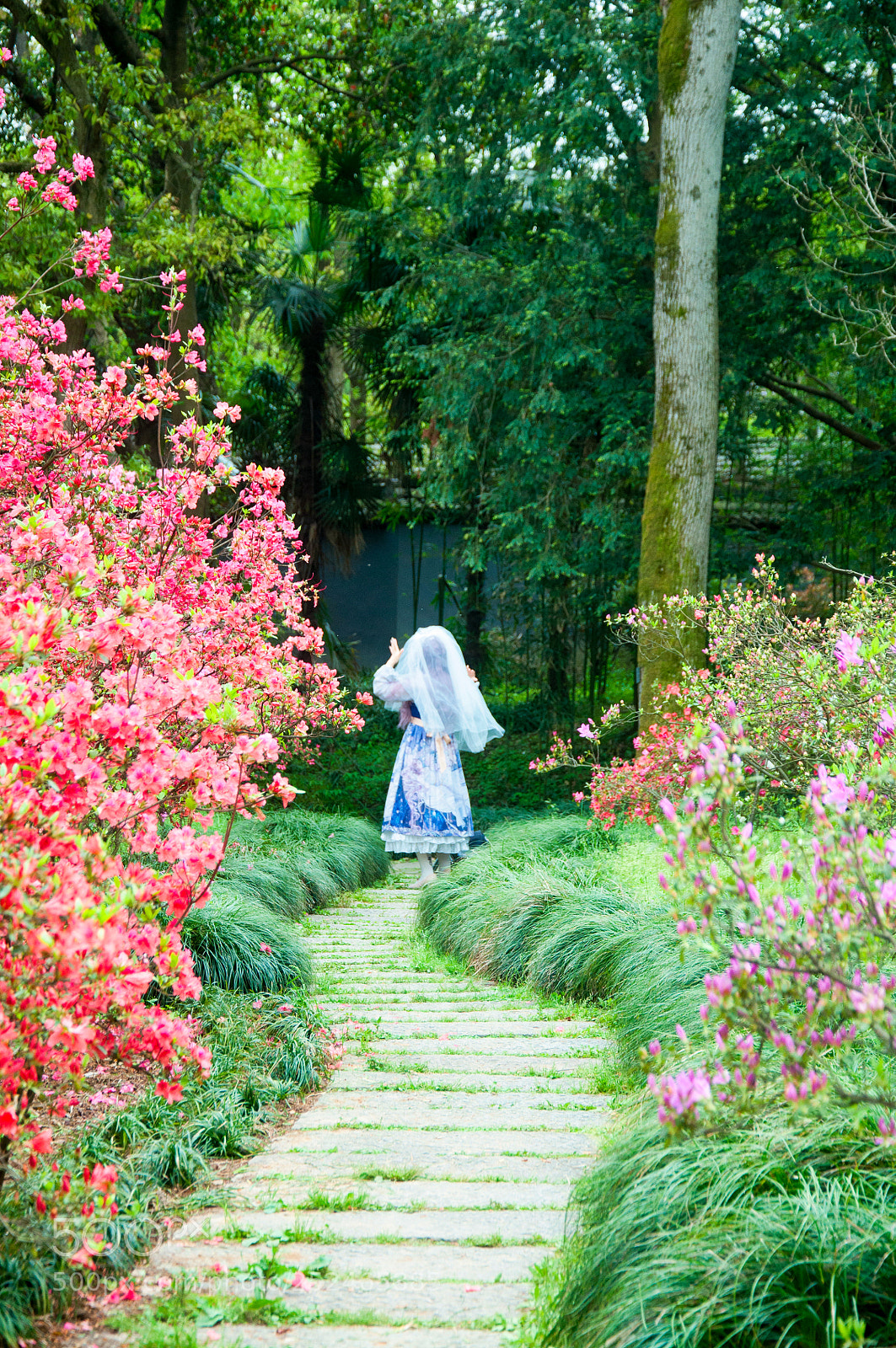 Nikon D5000 sample photo. In the garden. photography