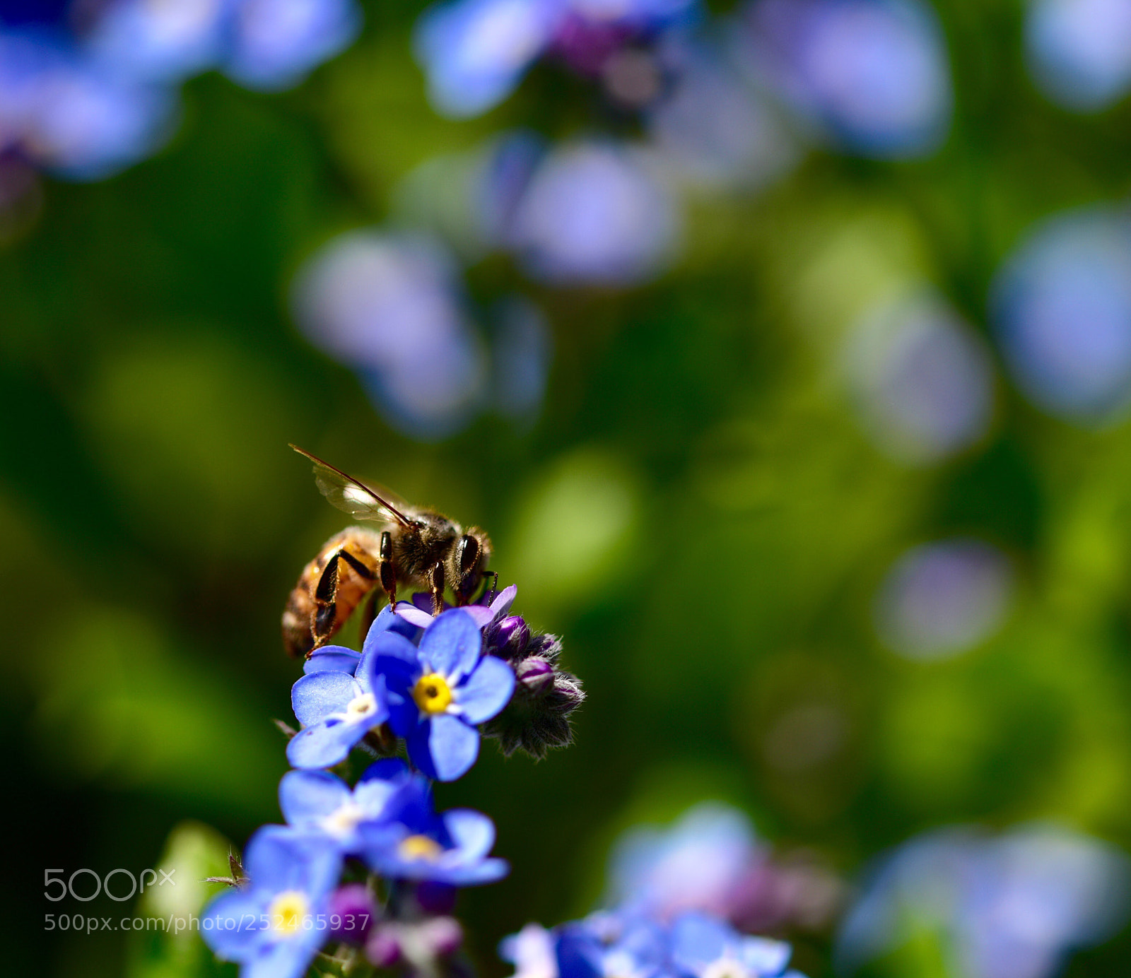 Nikon D810 sample photo. Untitled photography