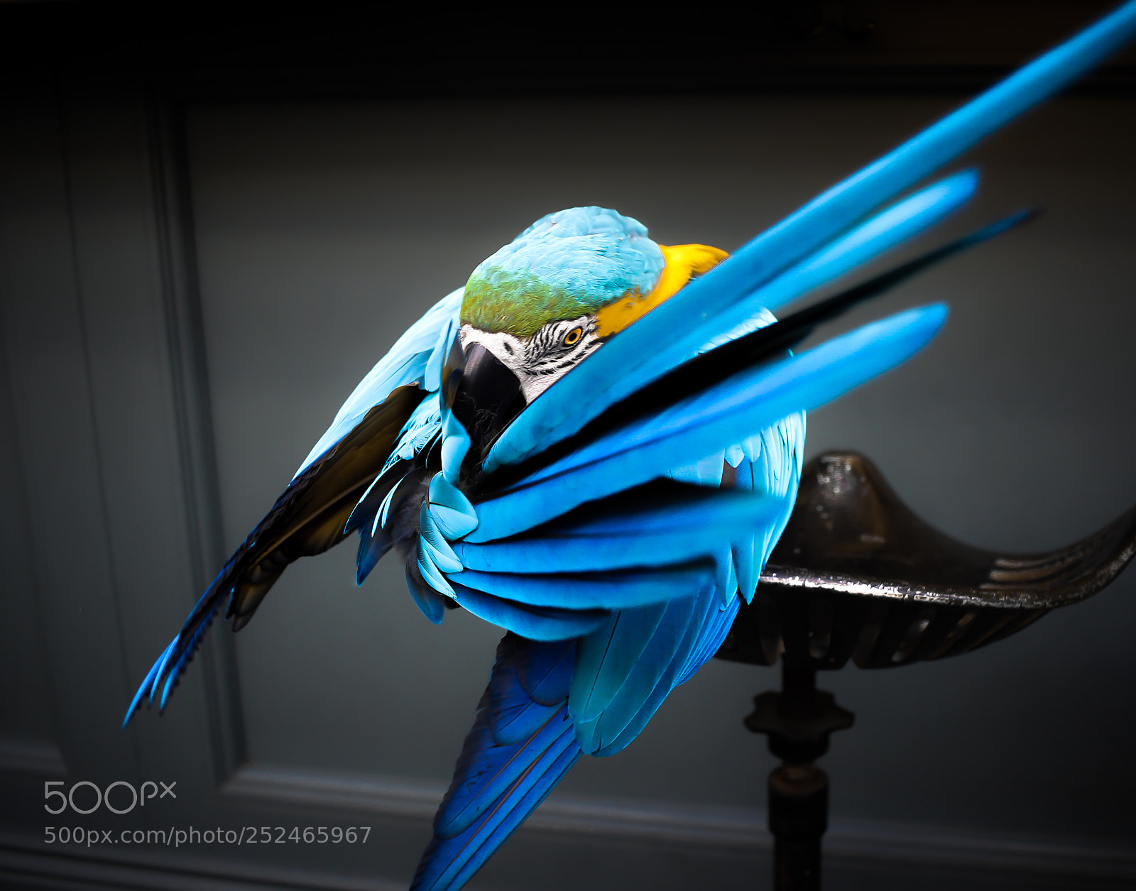 Canon EOS 600D (Rebel EOS T3i / EOS Kiss X5) sample photo. Deep blue photography