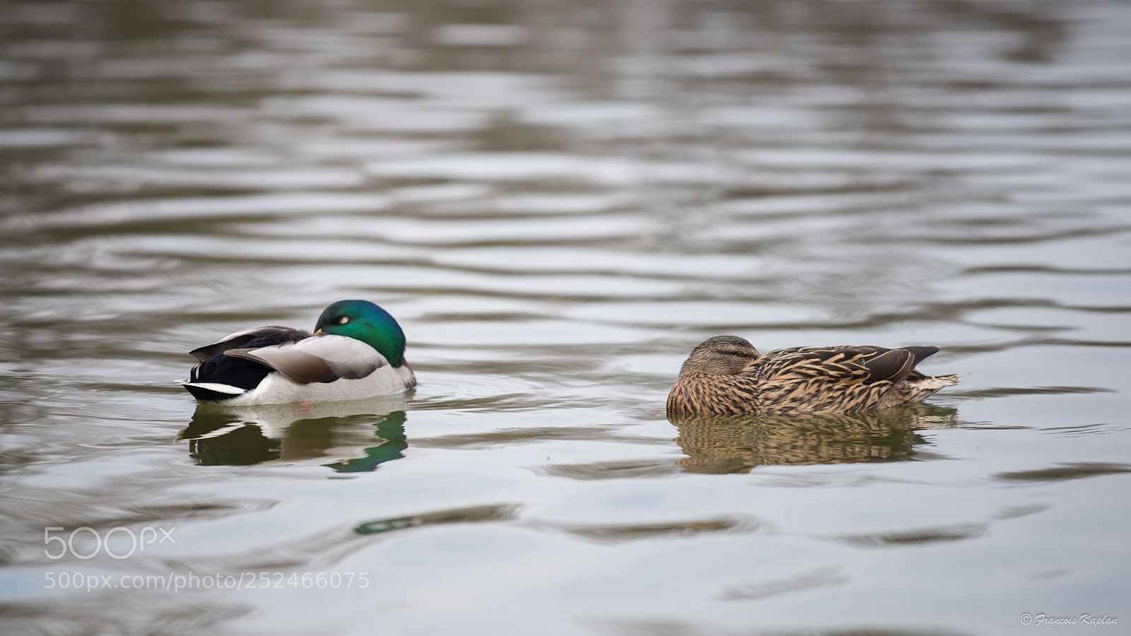 Nikon D810 sample photo. Edit photography