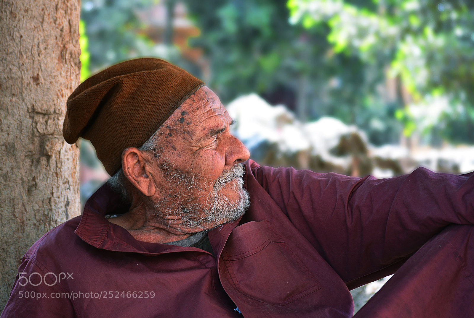 Nikon D7100 sample photo. Untitled photography