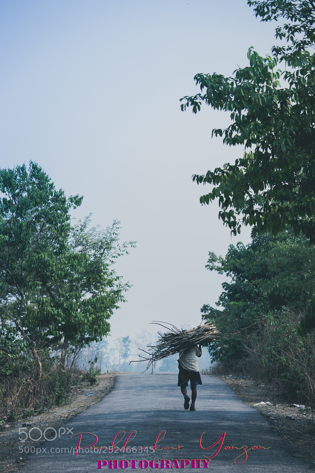 Canon EOS 200D (EOS Rebel SL2 / EOS Kiss X9) sample photo. The firewood collector photography