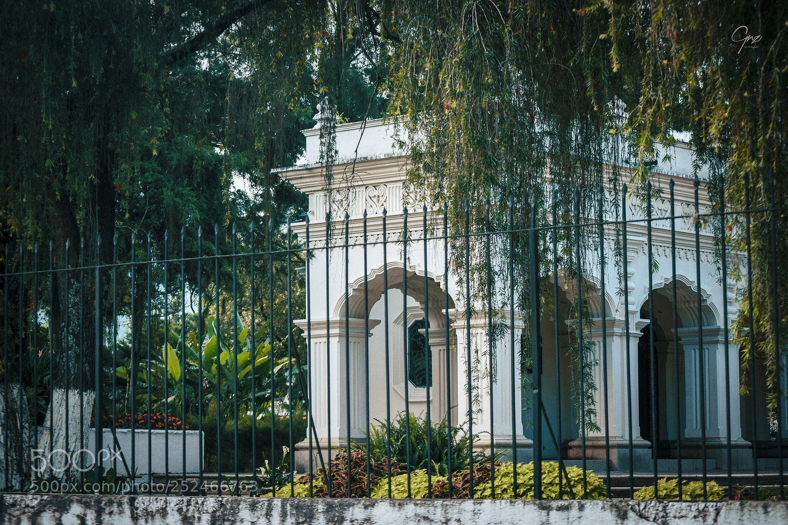 Nikon D5300 sample photo. Parque photography
