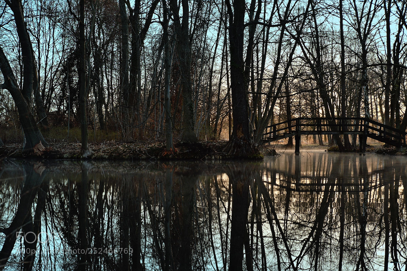 Fujifilm X-T10 sample photo. Wild spreewald photography
