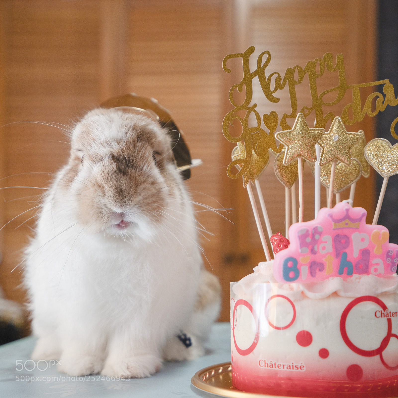 Sony a7 III sample photo. Happy birthday song song! photography