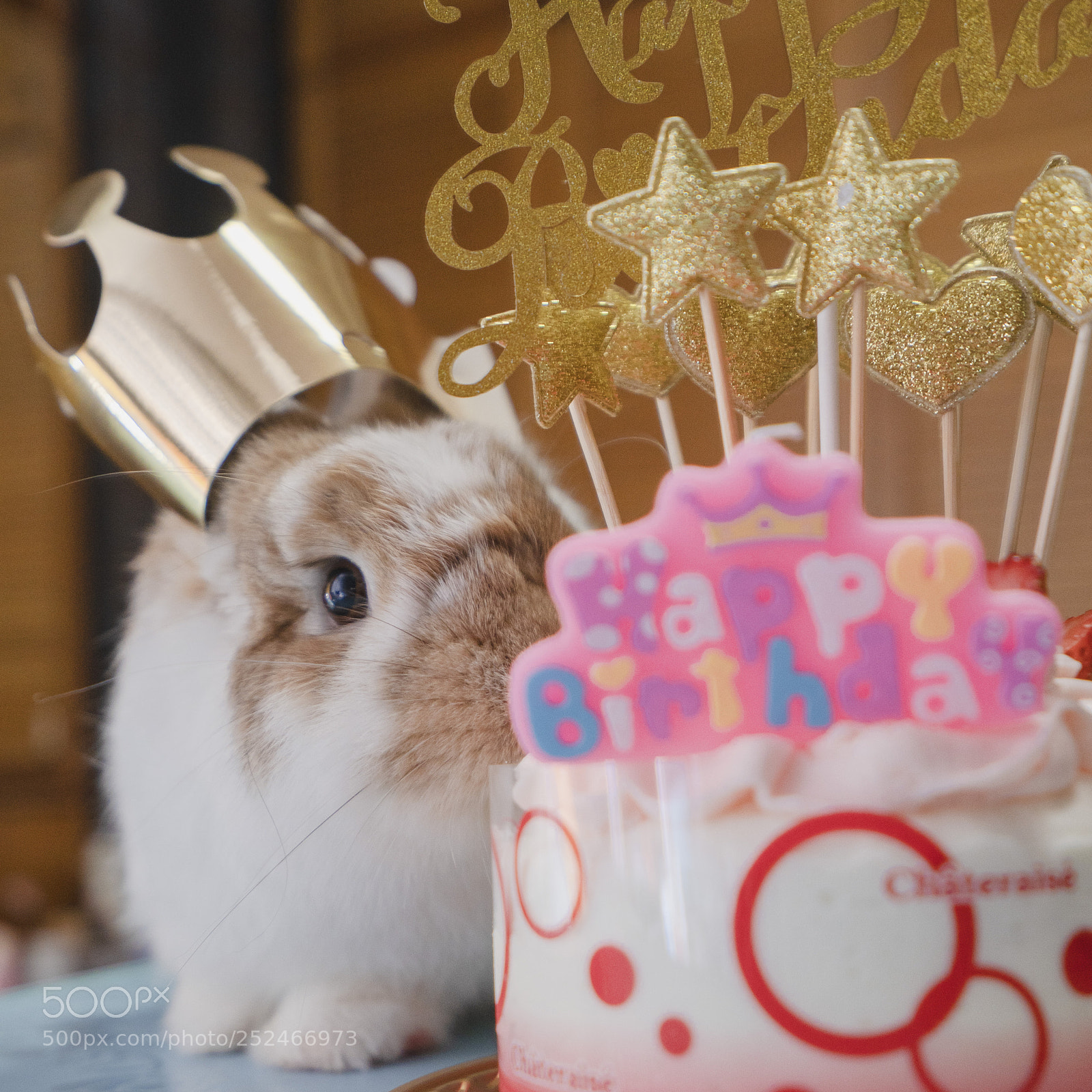 Sony a7 III sample photo. Happy birthday song song! photography