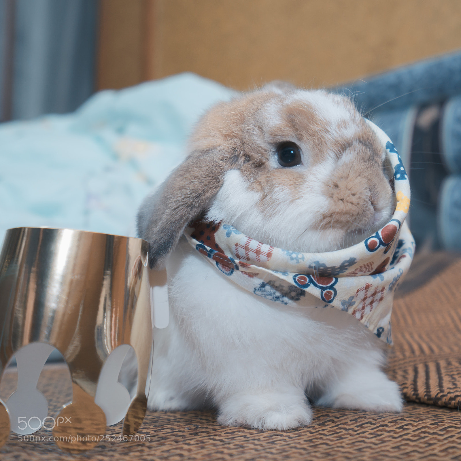 Sony a7 III sample photo. Happy birthday song song! photography
