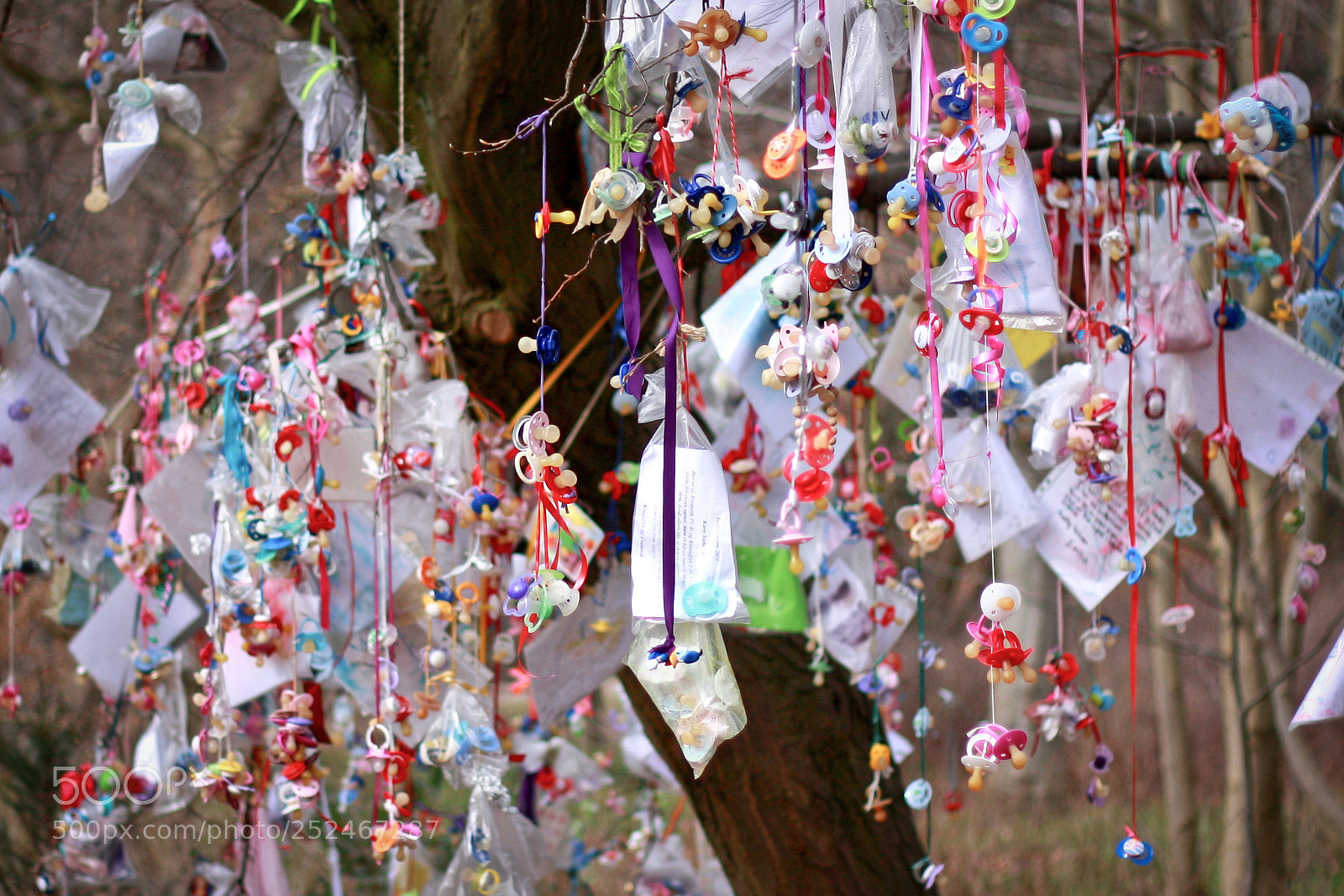 Canon EOS 450D (EOS Rebel XSi / EOS Kiss X2) sample photo. The pacifier tree photography