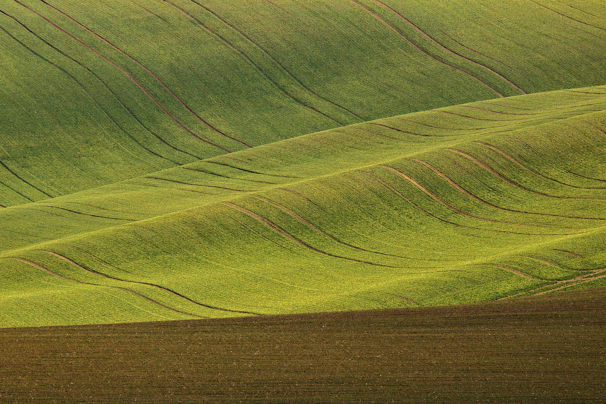 Sigma 150-500mm F5-6.3 DG OS HSM sample photo