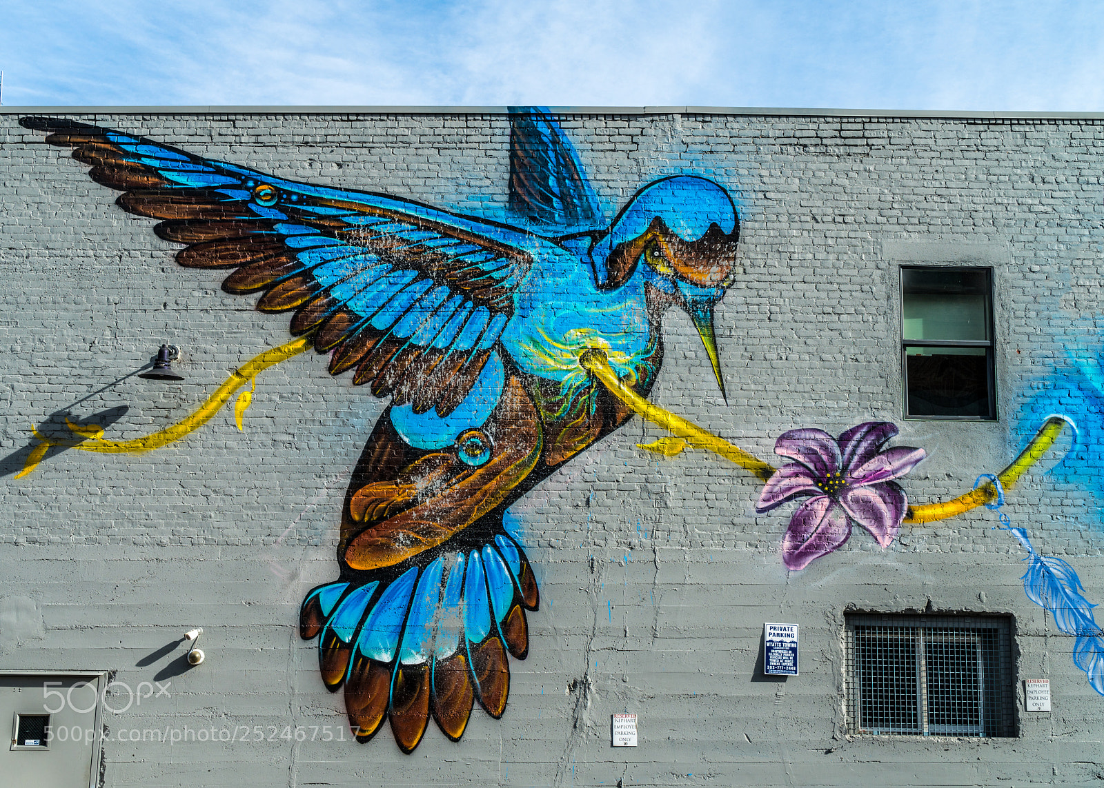 Sony a7R III sample photo. Building art rino iv photography