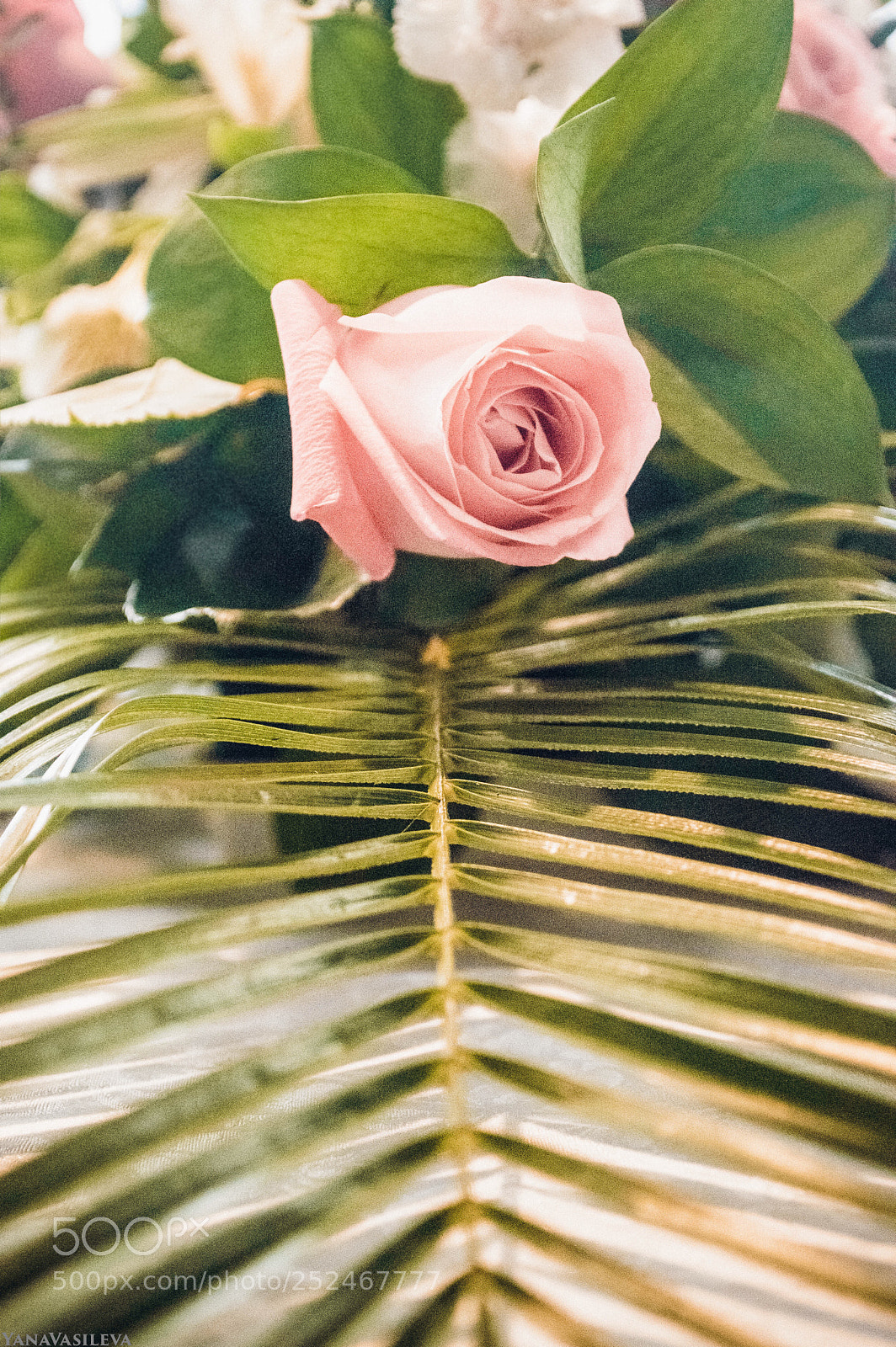 Nikon D3200 sample photo. Untitled photography