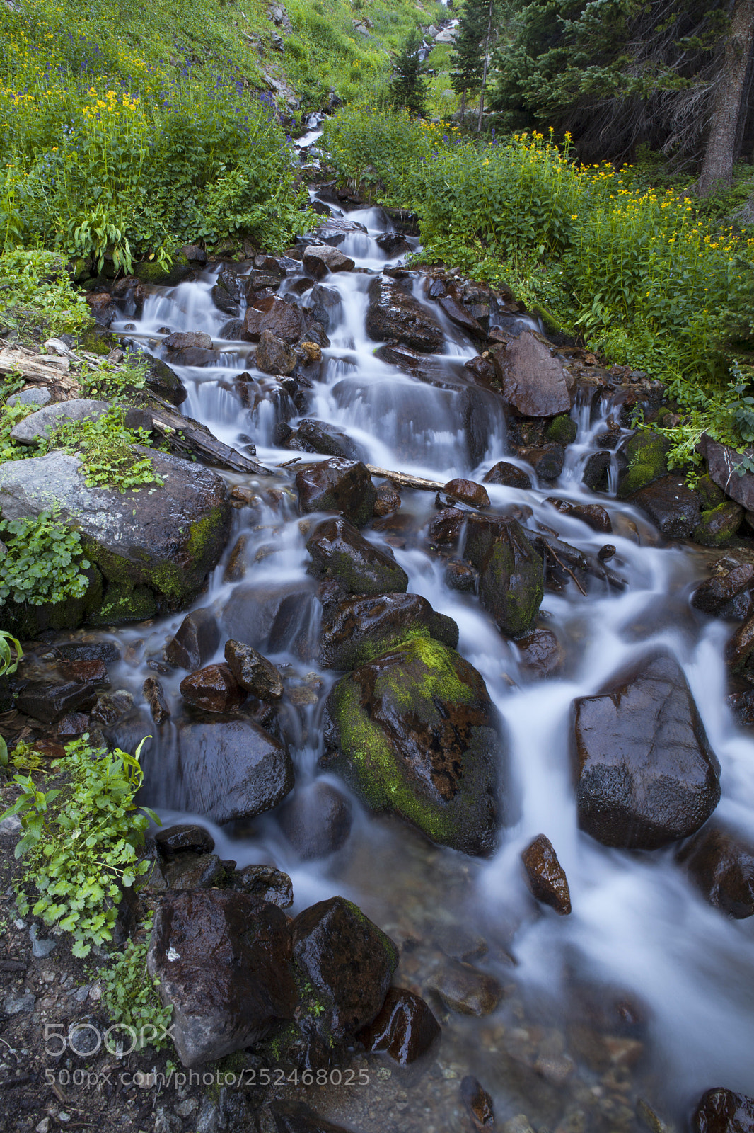 Canon EOS 5D Mark II sample photo. Wild spring runoff photography