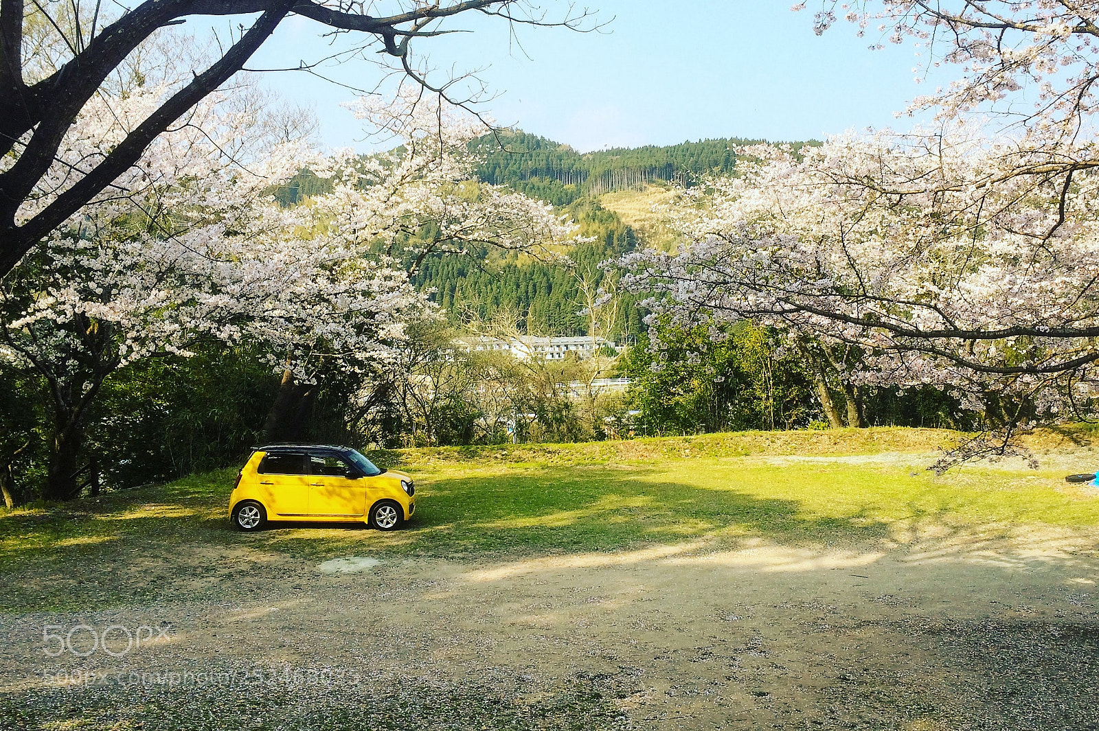 Apple iPhone 5s sample photo. One spring day 3 photography
