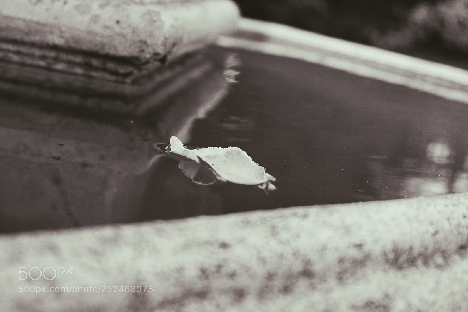 Fujifilm X-T10 sample photo. Untitled photography