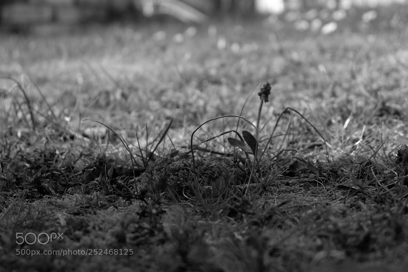 Fujifilm X-T10 sample photo. Untitled photography