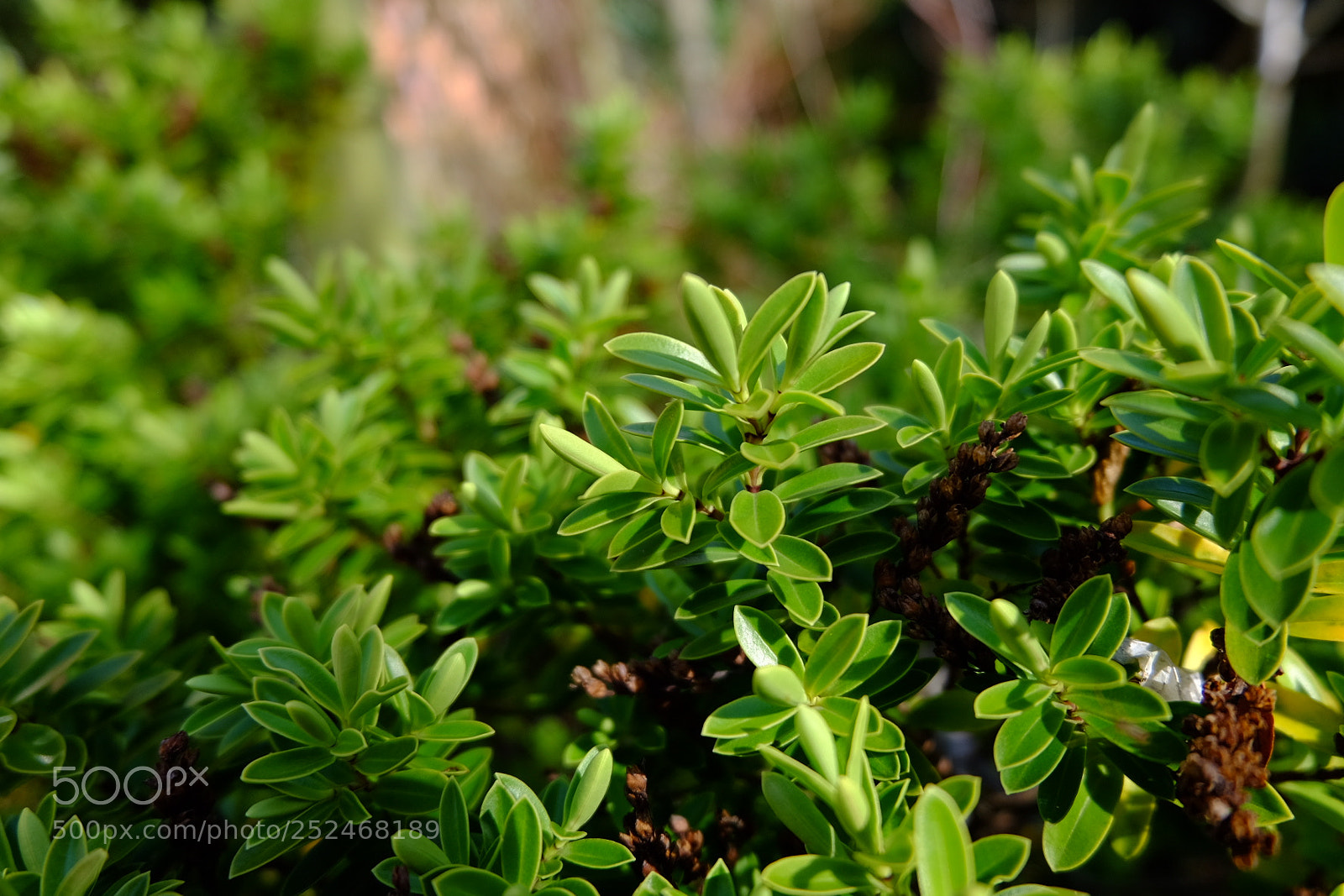 Fujifilm X-T10 sample photo. Untitled photography