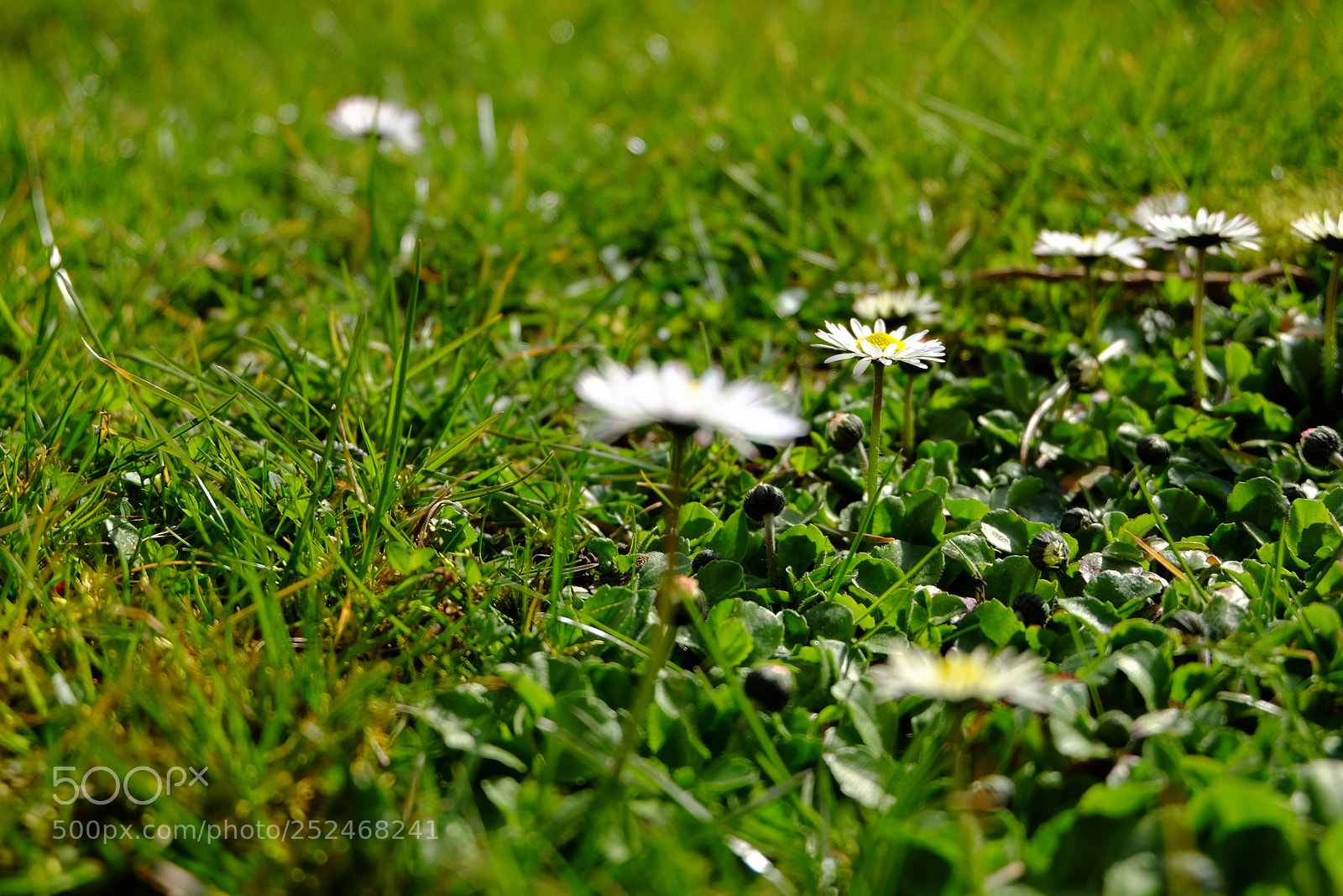 Fujifilm X-T10 sample photo. Untitled photography