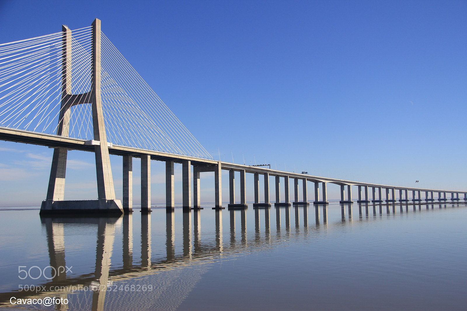 Canon EF-S 18-135mm F3.5-5.6 IS sample photo. Vasco da gama photography