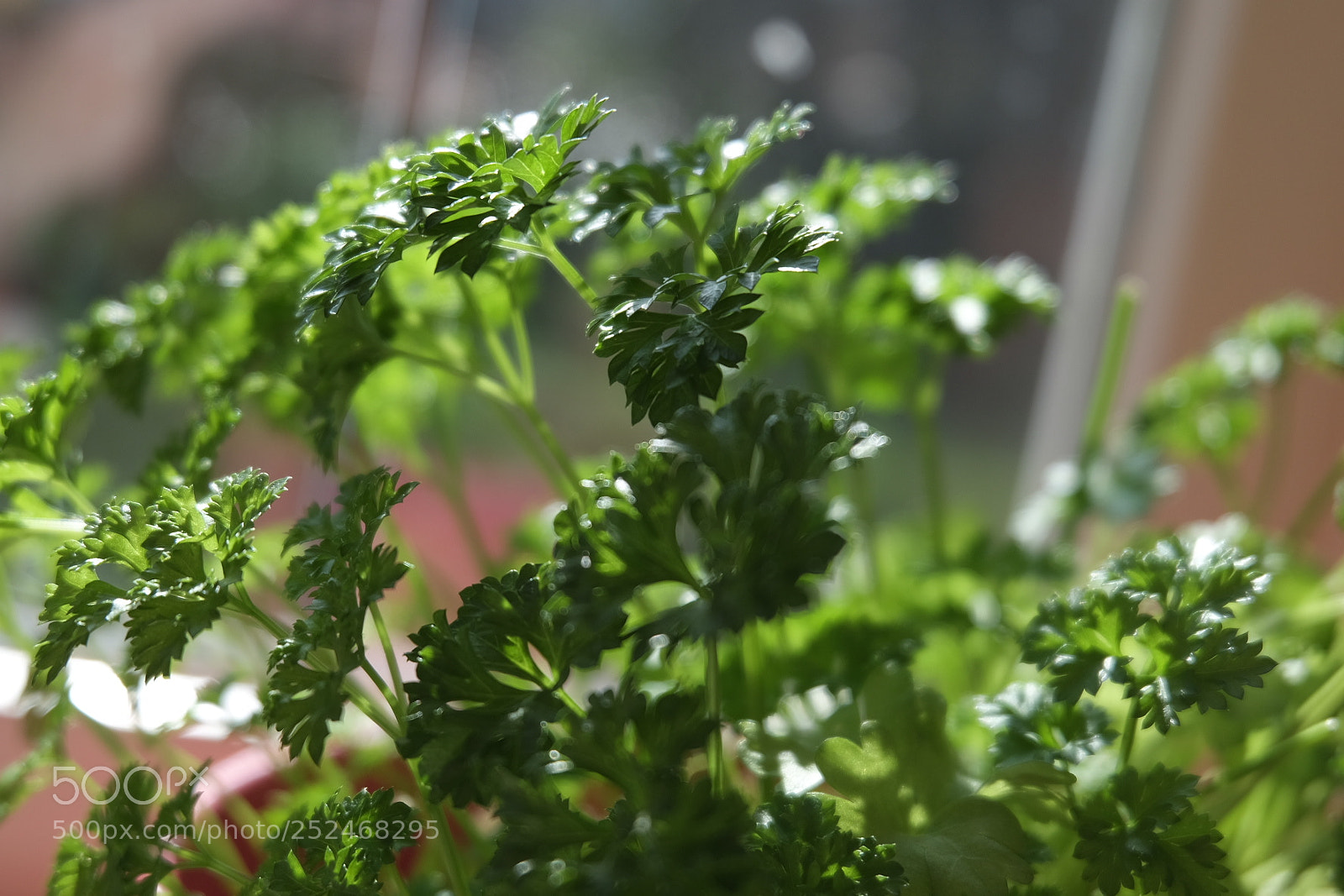 Fujifilm X-T10 sample photo. Untitled photography