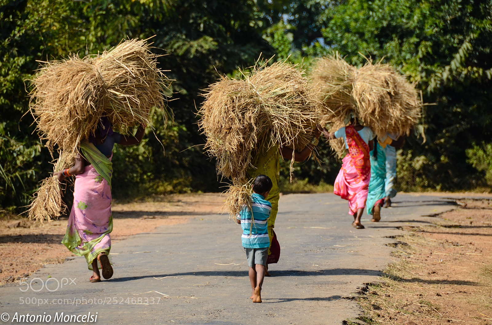 Nikon D7000 sample photo. Orissa photography