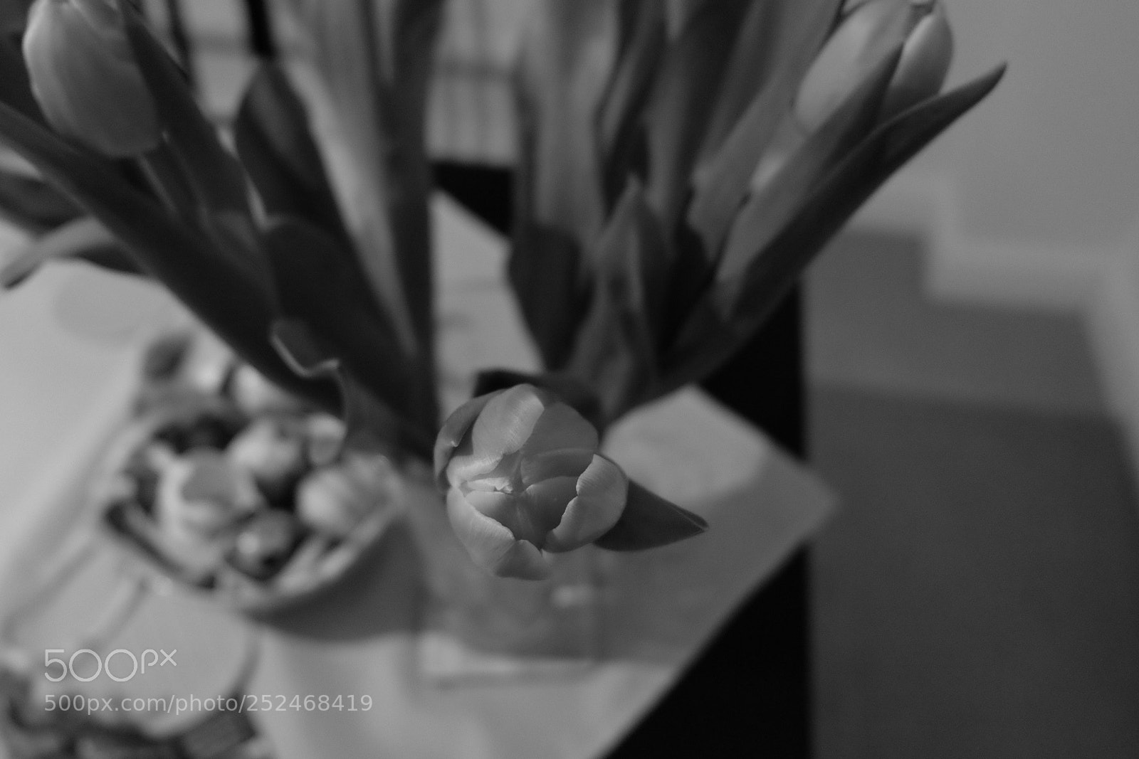 Fujifilm X-T10 sample photo. Untitled photography