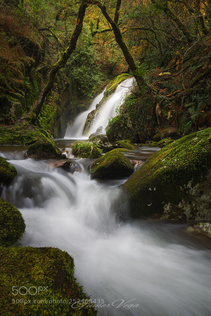 Canon EOS 5D sample photo. Santa leocadia photography