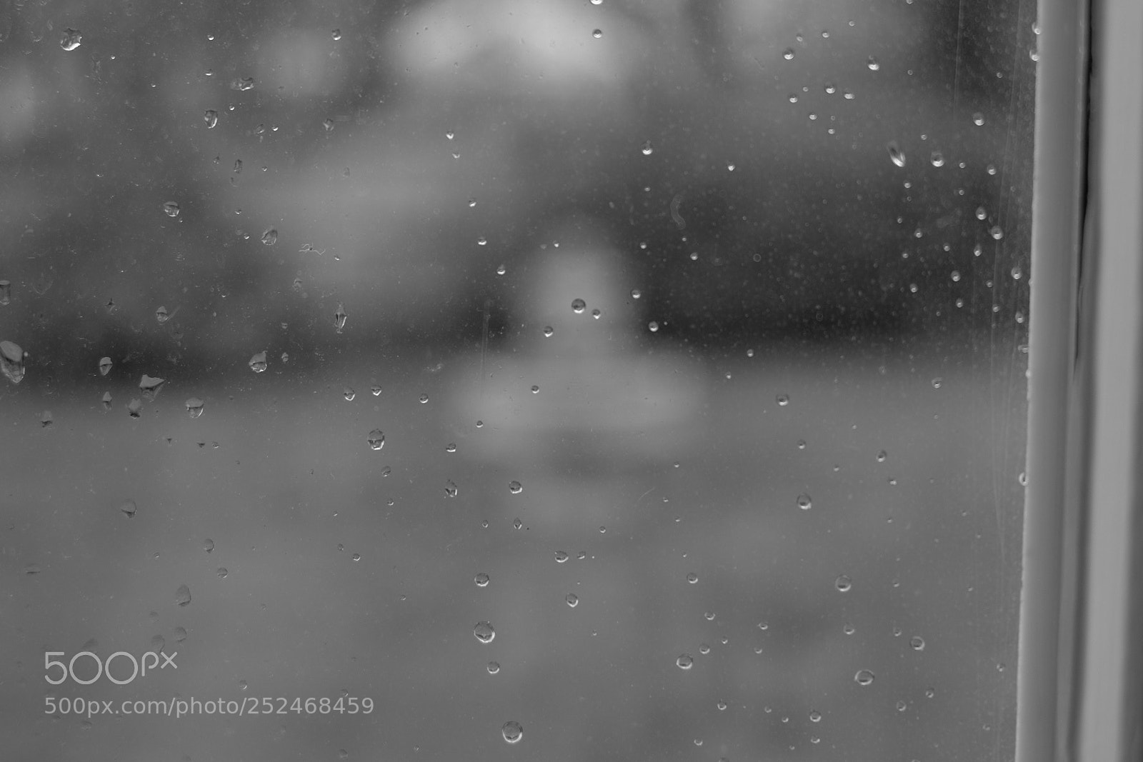 Fujifilm X-T10 sample photo. Untitled photography