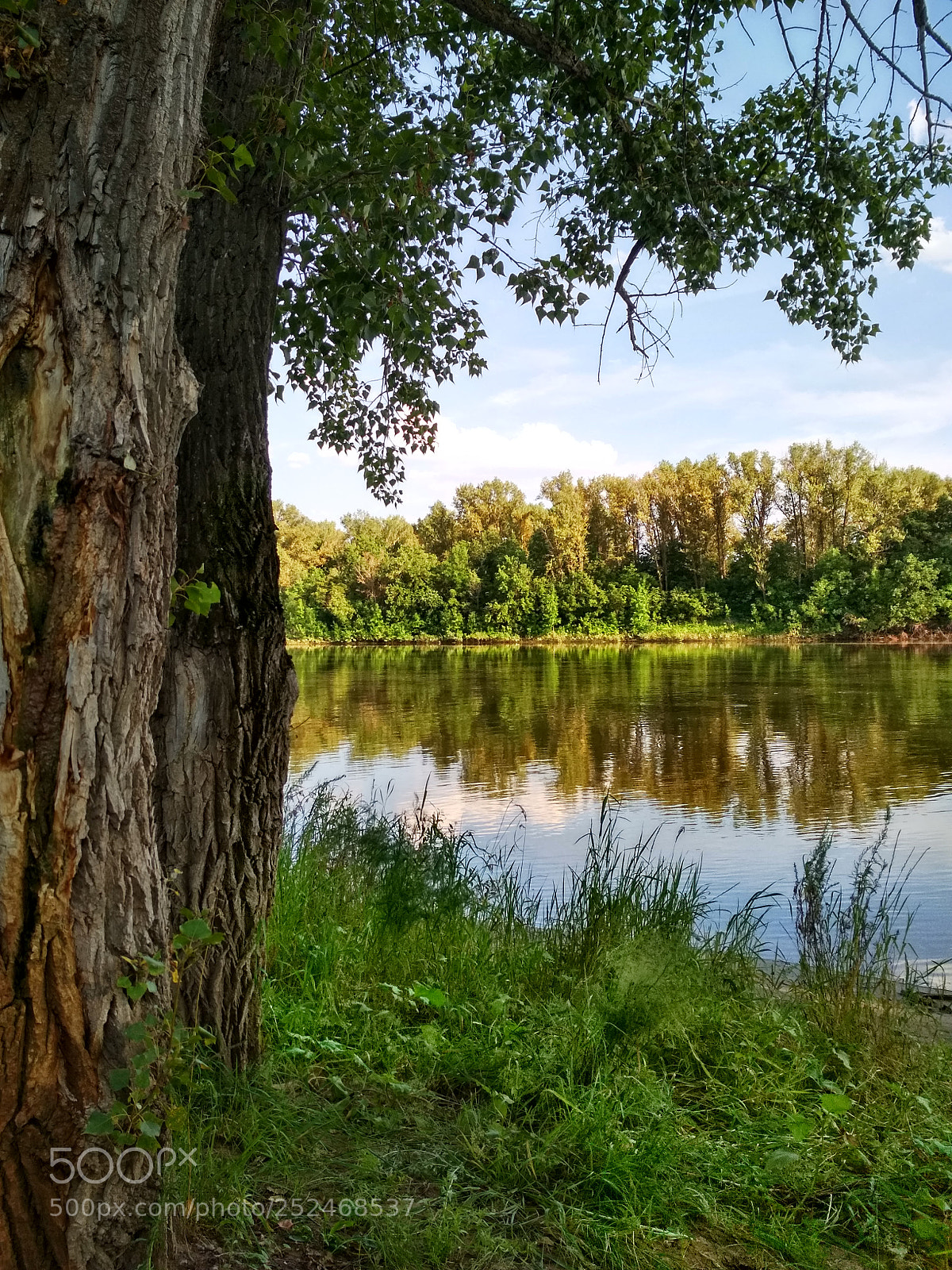 Xiaomi Redmi 4X sample photo. Riverside photography