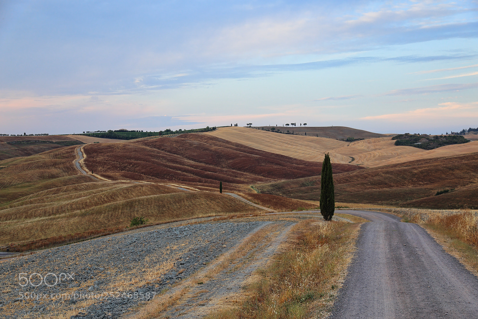 Canon EOS 6D sample photo. Tuscan painting photography