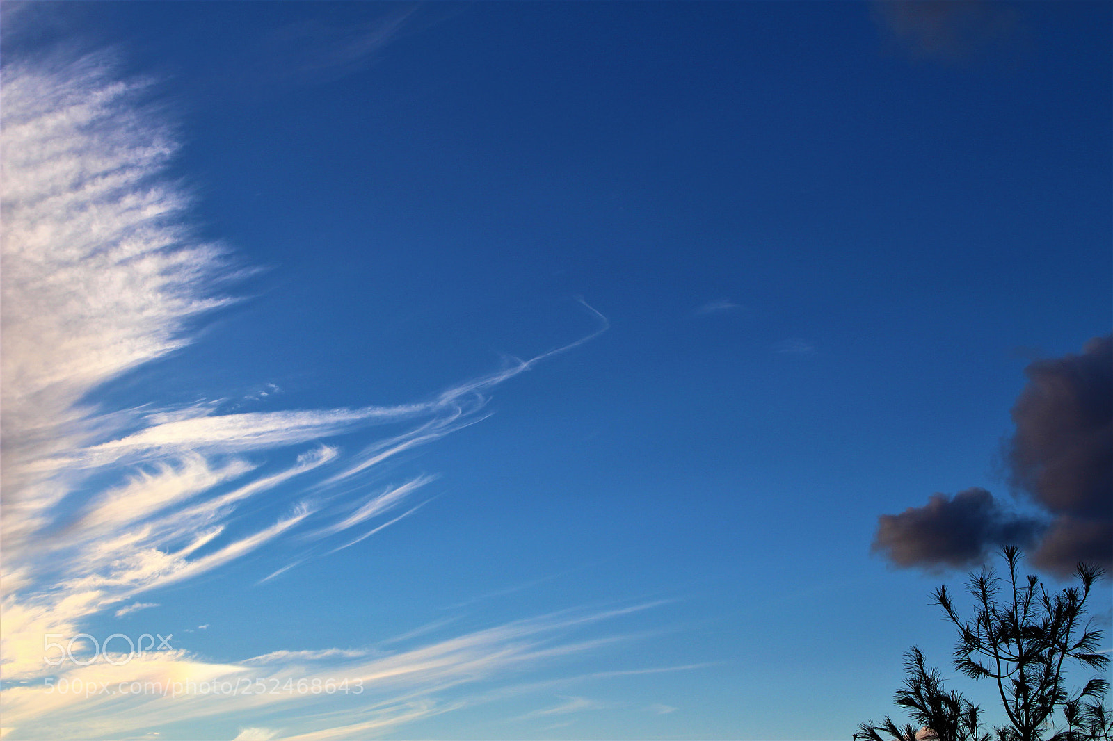 Canon EOS 100D (EOS Rebel SL1 / EOS Kiss X7) sample photo. Cirrus eye photography