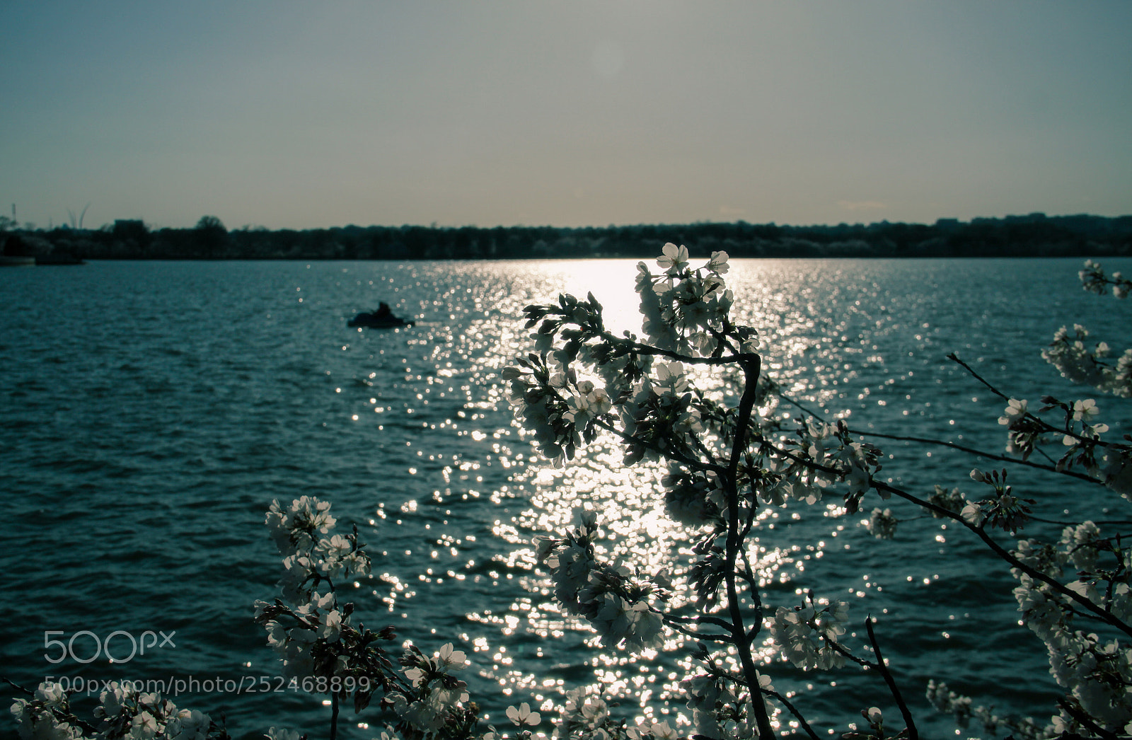 Canon EOS 50D sample photo. Untitled photography