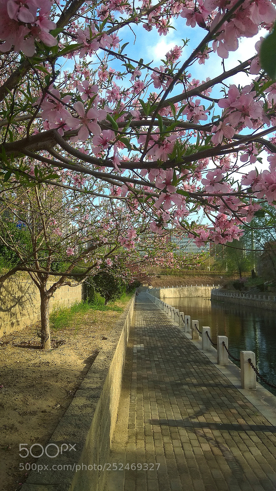 Xiaomi Redmi Note 4X sample photo. Untitled photography