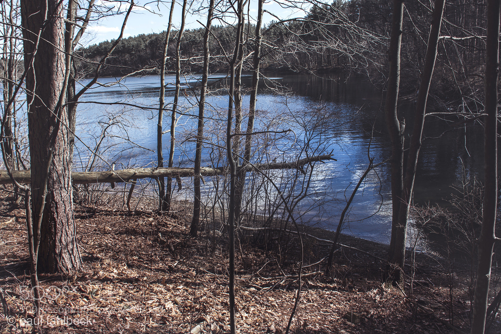 Nikon D7200 sample photo. Untitled2 photography