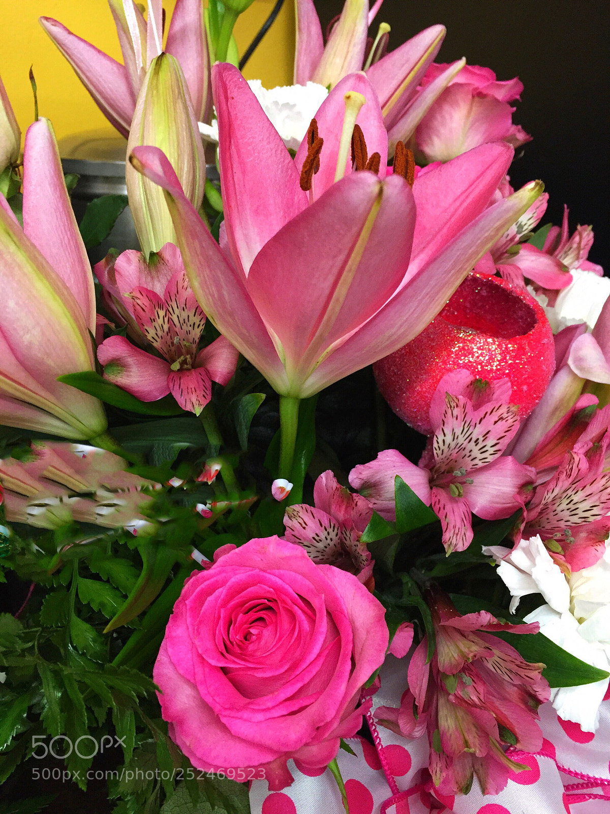 Apple iPhone 6 Plus sample photo. Today’s flower ?  photography