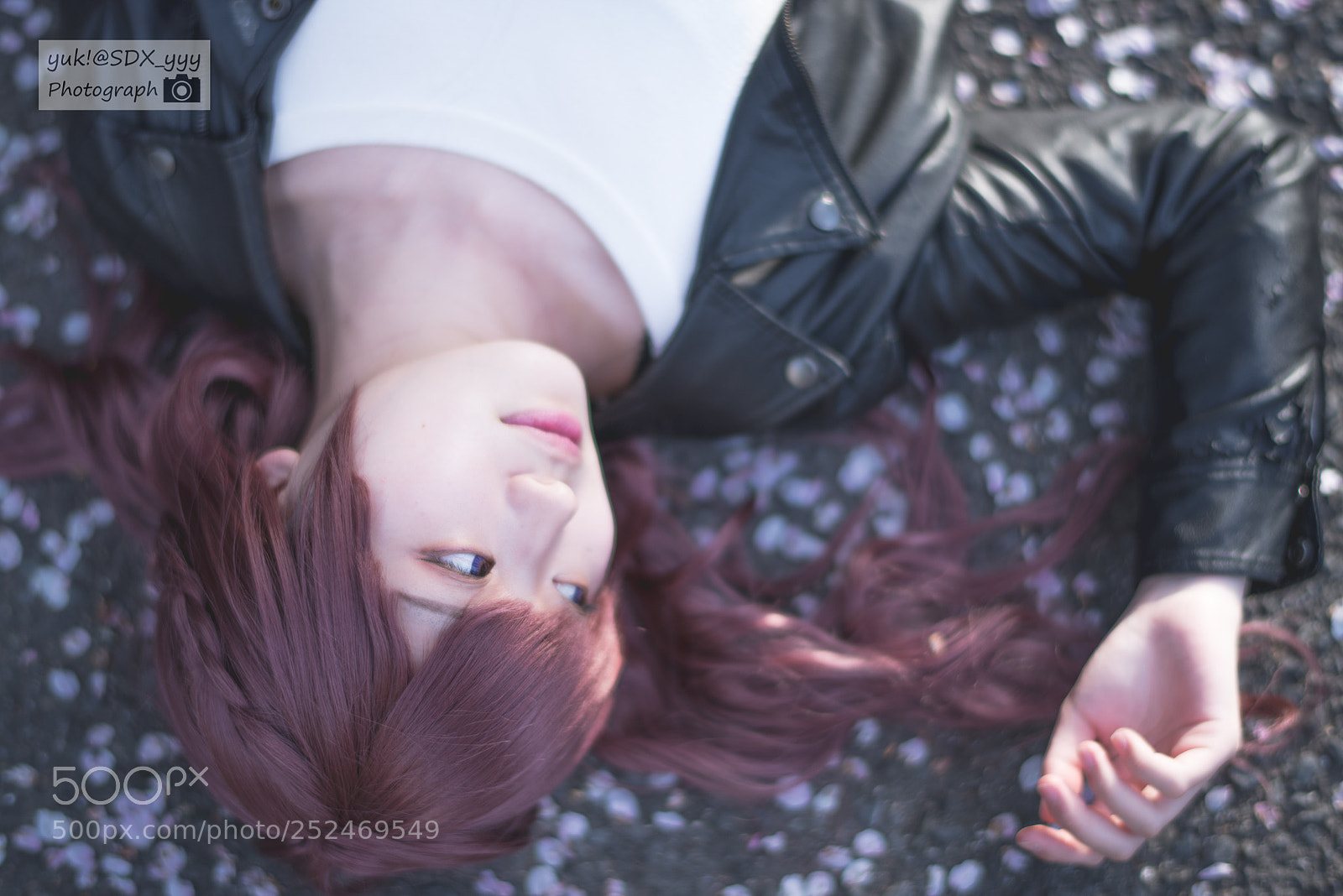 Nikon D810 sample photo. Cherry blossoms photography